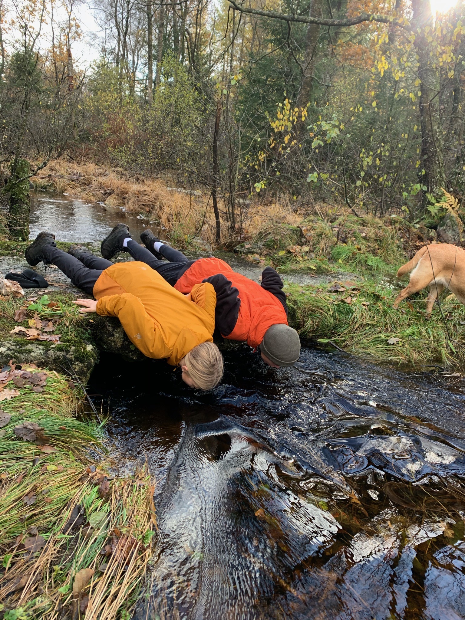 8ED6E665 D155 486C 9BB2 AC80BCF08382