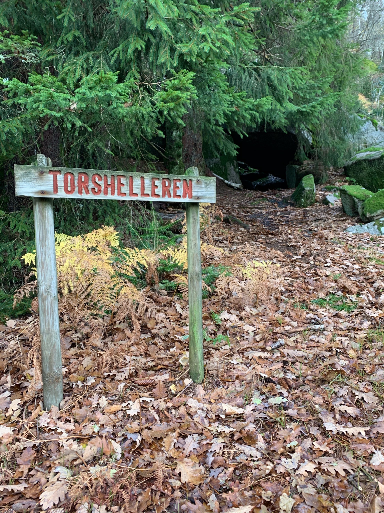 80D936DB 8220 4D50 875C 105B6930D15F